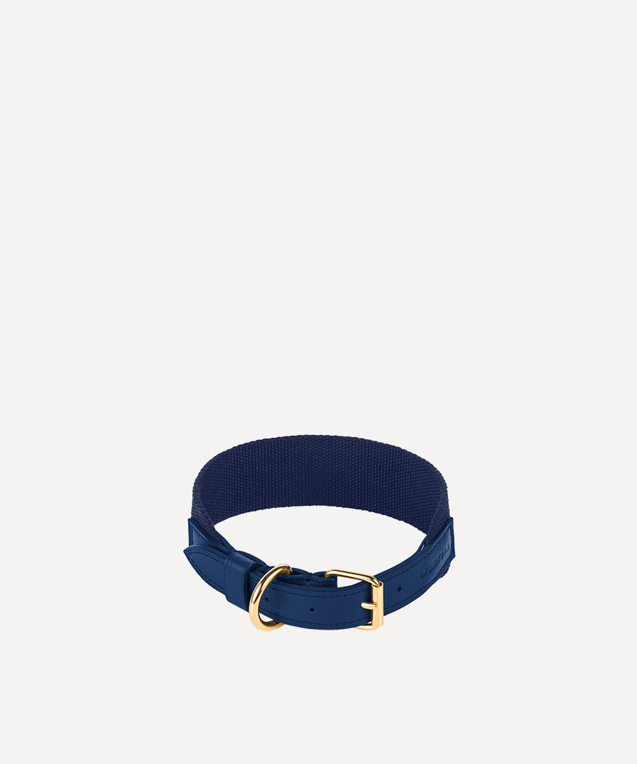 LE COLLIER POUR ANIMAUX