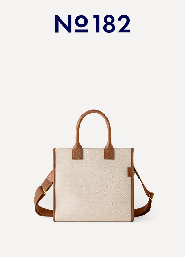 THE SMALL CARRY-ALL TOTE BAG