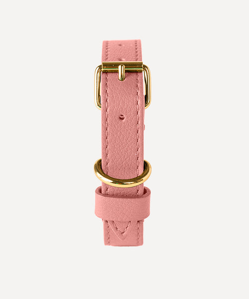 SMALL LEATHER PET COLLAR