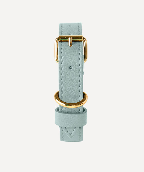 SMALL LEATHER PET COLLAR