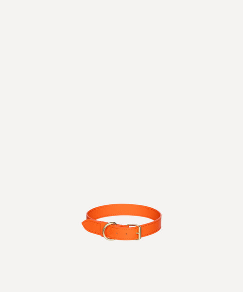 SMALL LEATHER PET COLLAR