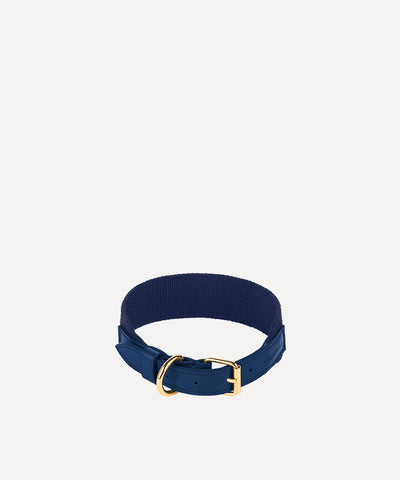 PET COLLAR