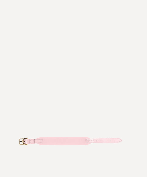 ペット用カラー