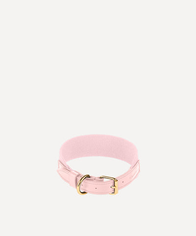 LE COLLIER POUR ANIMAUX ROSE BALLET