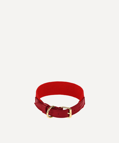 LE COLLIER POUR ANIMAUX ROUGE