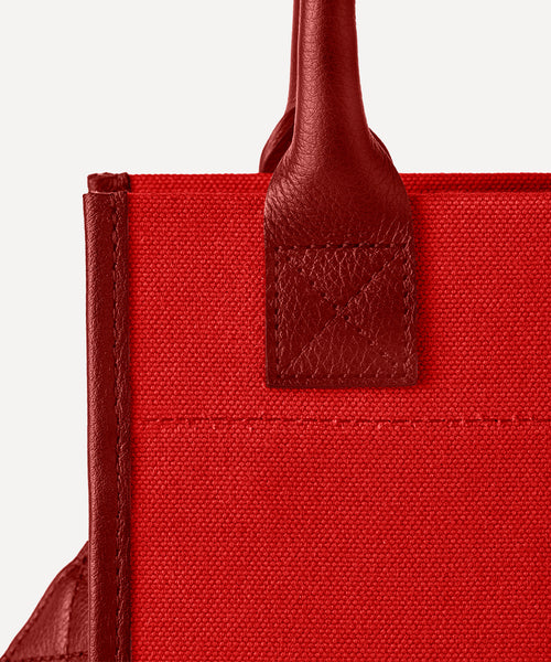 THE MINI CARRY-ALL TOTE BAG
