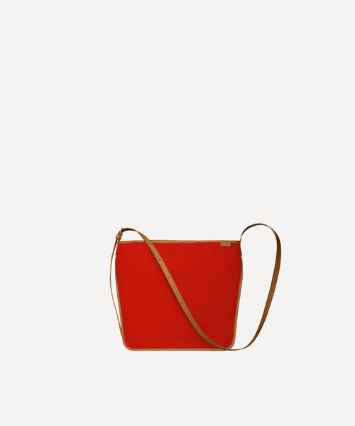 THE SMALL POSTMAN